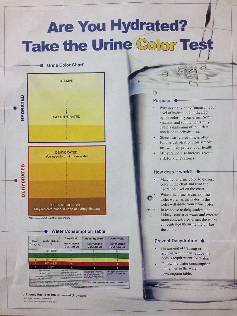 PEE TEST Hydration